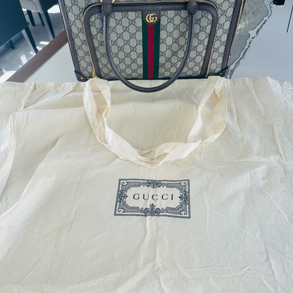 Gucci Gray and Brown Pet Carrier